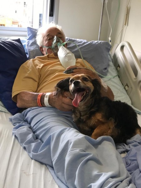 Paciente do Hospital SÃ£o JosÃ© reencontra sua cachorra 