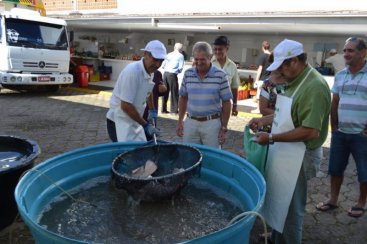 Mais de 700 quilos de peixe vendidos em Cocal do Sul