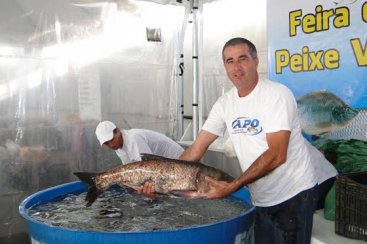 Feira do Peixe Vivo acontece nesta sexta-feira