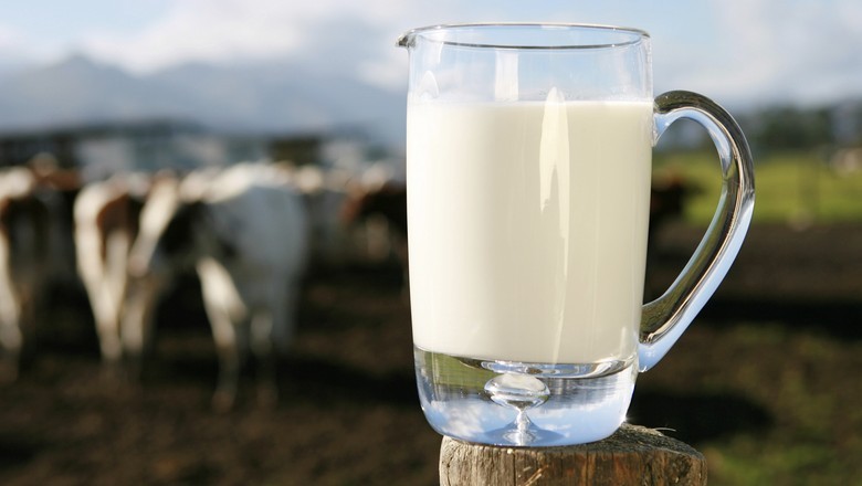 Novas regras para produção de leite no Brasil já estão em vigor