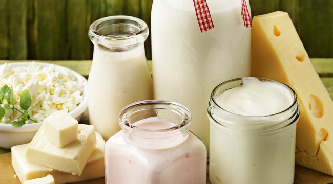 Por dentro da relação corpo humano e produtos lácteos