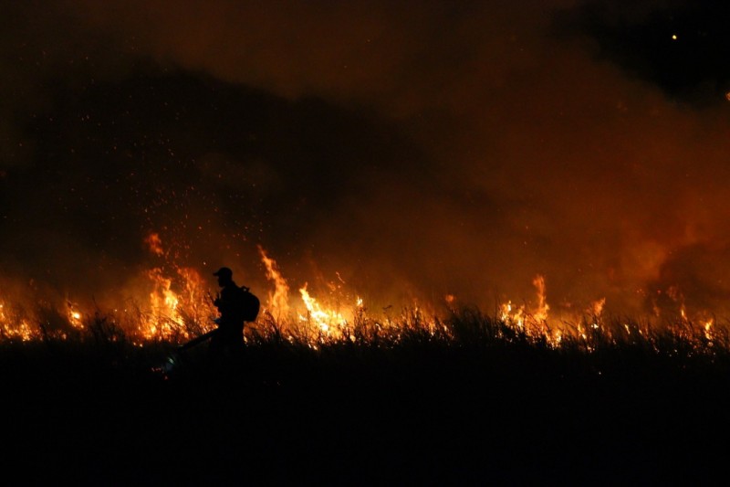 IncÃªndio em vegetaÃ§Ã£o no bairro Floresta: bombeiros finalizam trabalho de combate Ã s chamas
