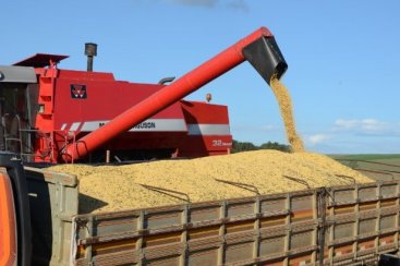 Santa Catarina exportou quantidade recorde de soja até maio, aponta Epagri/Cepa