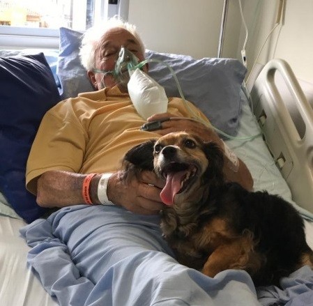 Morre paciente do Hospital São José, que teve encontro emocionante com cachorrinha de estimação
