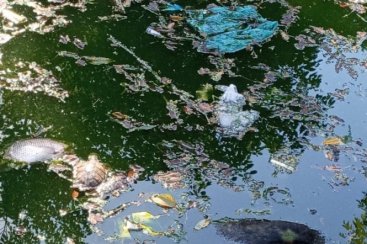 Lixo, animais mortos e mau cheiro no lago da Praça do Congresso