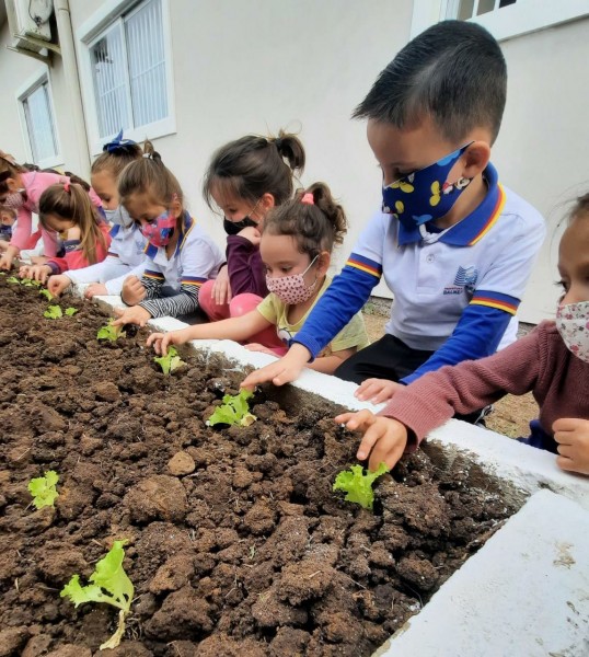 Secretaria de Educação de Balneário Rincão lança projeto 'Uma horta em cada canto'