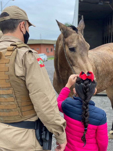 Dez cavalos atuam no policiamento ostensivo montado e em projetos de equoterapia na região do 9º BPM