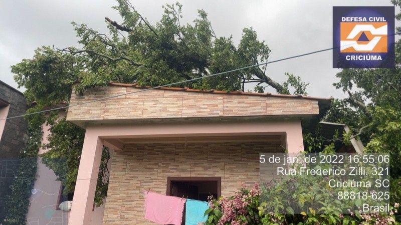 Árvore cai sobre casa no bairro Vila Zuleima