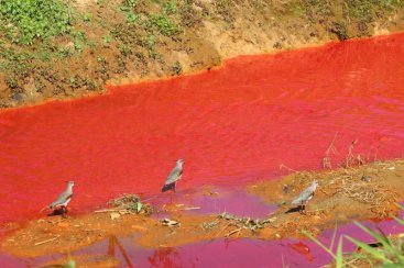 Vazamento de produto quÃ­mico deixa rio Linha Anta vermelho; confira a galeria de fotos