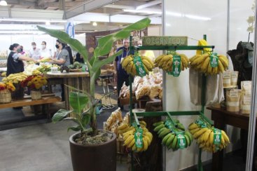 Estande de produtos orgânicos é uma das atrações da AgroPonte