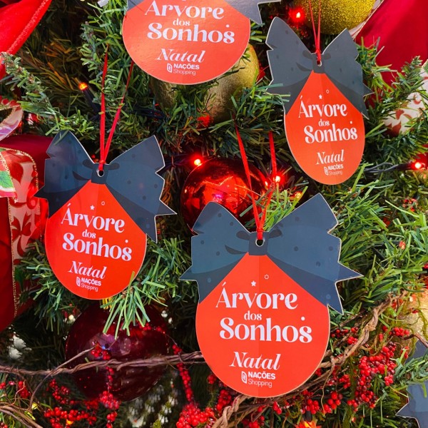 Árvore dos Sonhos leva magia do Natal para crianças da região de Criciúma