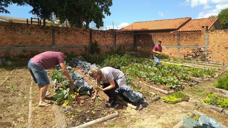 Araranguá: projeto de horta comunitária será retomado com mutirão
