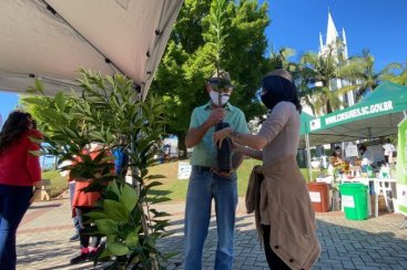 Prefeitura de Cocal do Sul promove ações na Semana do Meio Ambiente