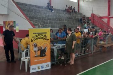 Prefeitura de Criciúma faz 114 castrações em animais dos bairros Santo Antônio e Operária Nova