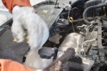 Bombeiros Voluntários de Jaguaruna resgatam filhote de gato preso em motor de carro