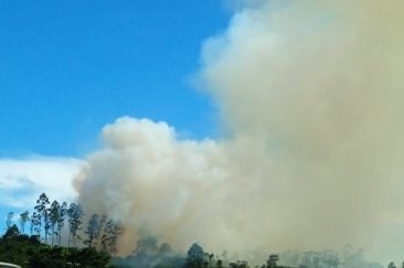Sangão: bombeiros combatem incêndio em vegetação